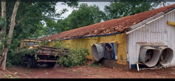 Fotos Divulgação/Sou Agro.