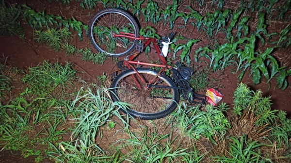 Fotos: Portal Nova Santa Rosa