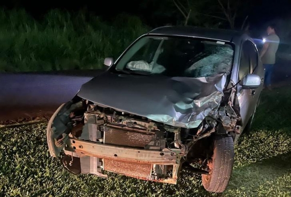 Foto: Divulgação.