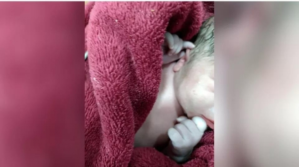 Imagem Divulgada pelo Corpo de Bombeiros