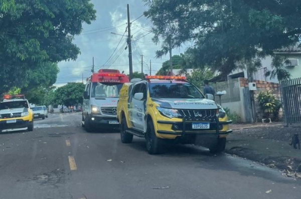 Foto: Portal Palotina.