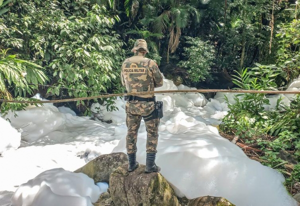 Foto: Polícia Militar Ambiental de SC/Divulgação