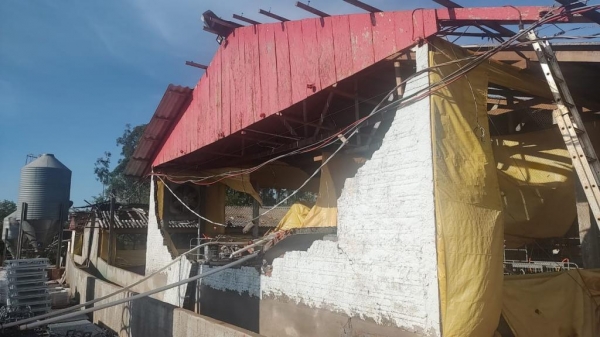 Fotos: Divulgação.