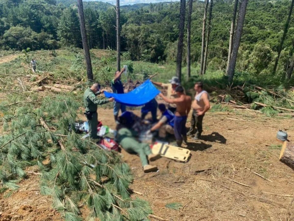 Fotos: Divulgação/BPMOA