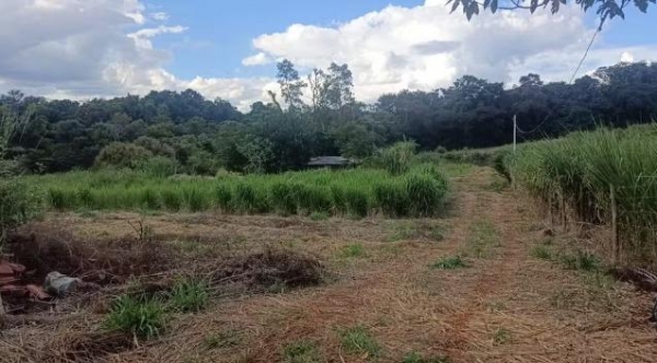 Foto: André Volochen/RPC