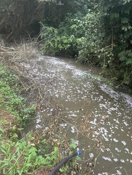 Fotos: Divulgação.