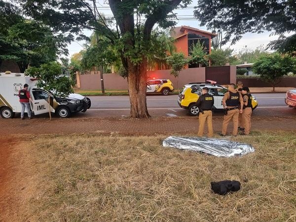 Fotos: Portal Palotina.