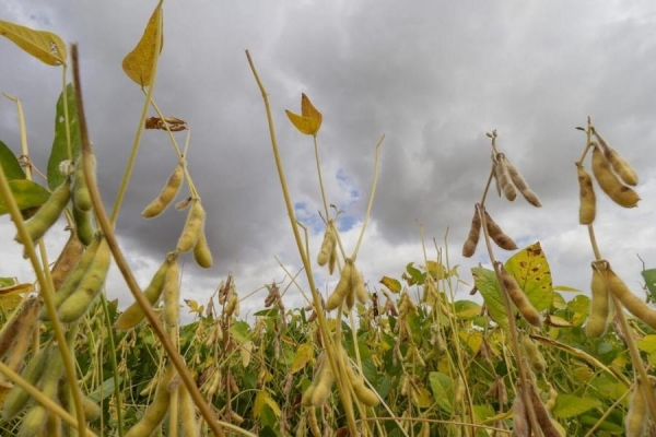 Foto: Assessoria Toledo. 
