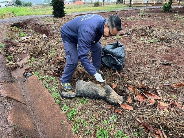 Foto: Portal Nova Santa Rosa.