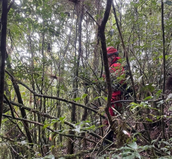 Equipes do Corpo de Bombeiro buscam origem da fumaça relatada na Serra do Mar no litoral do Paraná. — Foto: Corpo de Bombeiros