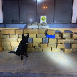 Foto: PRE/Divulgação.