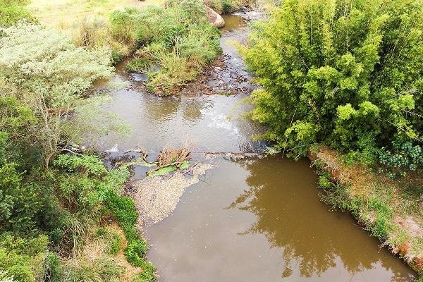 Foto: Denis Ferreira Netto/SEDEST-PR