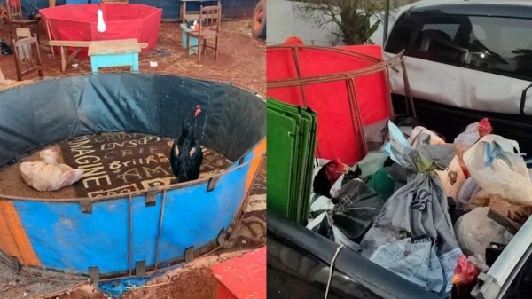 Foto: reprodução/Catve.