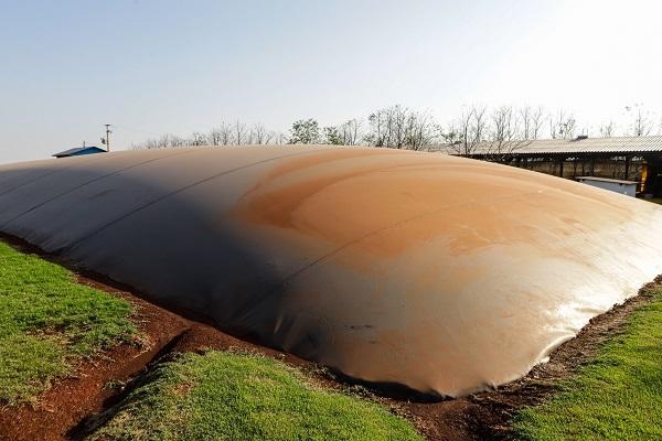 Fotos: Roberto Dziura Jr/AEN