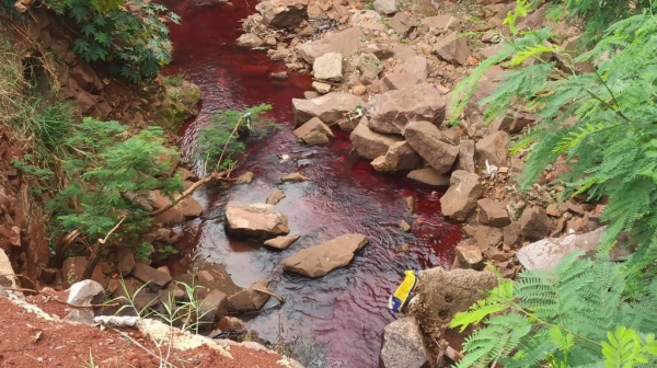 Fotos: Portal Nova Santa Rosa