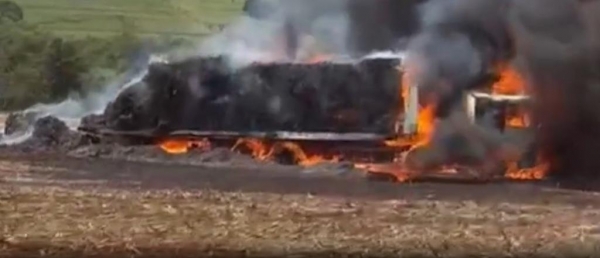 Foto: Reprodução (Catve)