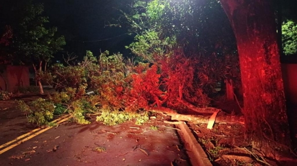 Fotos: Portal Nova Santa Rosa.