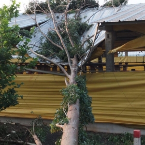 Barracão afetado em Nova Santa Rosa. Foto: Divulgação.