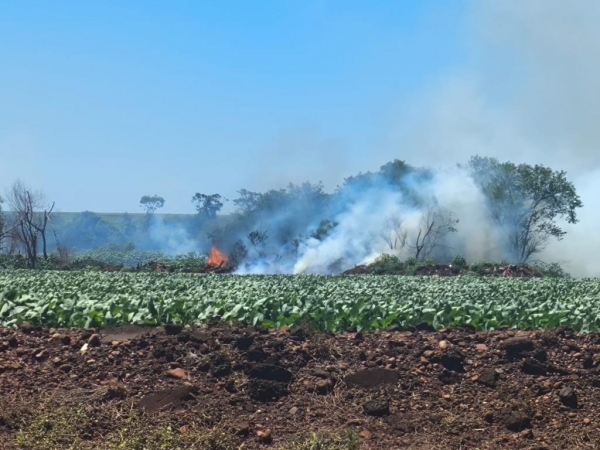 Fotos: Portal Nova Santa Rosa.