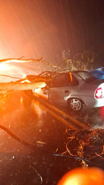Foto: PRE/Divulgação.