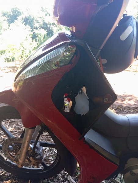 Fotos: Divulgação.