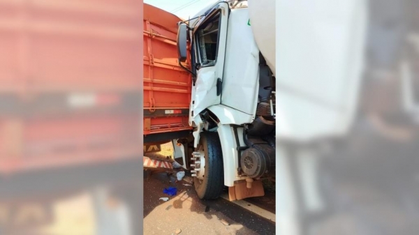 Fotos: Tribuna de Palotina