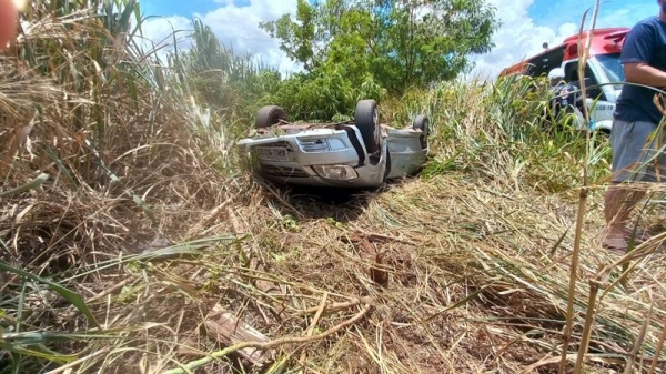 Fotos: Portal Palotina.