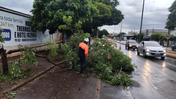 Temporal provocou queda de árvores em diversos pontos da cidade. Foto: Assessoria Palotina