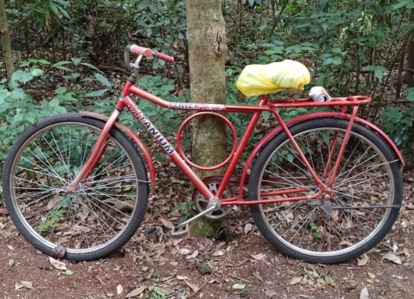 Foto: Internauta Portal Nova Santa Rosa