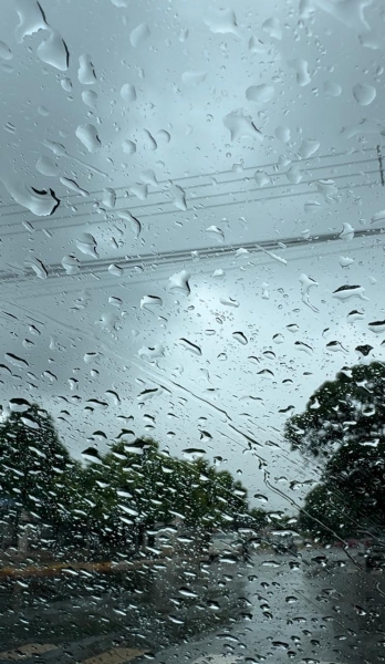 Foto: Portal Nova Santa Rosa