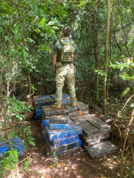A droga estava no meio de uma mata. Foto: Polícia Federal.