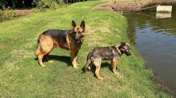 Foto: Divulgação (Tropical Notícias)