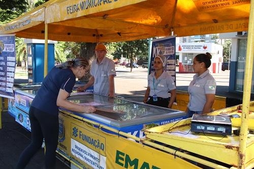 Feira do Peixe acontece nesta semana em Palotina  Crédito: Assessoria/Prefeitura