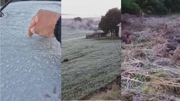 Paraná amanhece com geadas e termômetros a -0,1ºC, recorde de frio de 2025, segundo Inmet — Foto: Reprodução