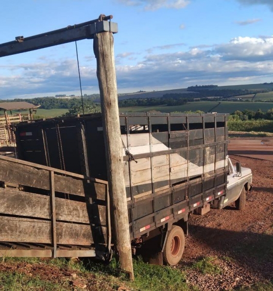 Foto: Tropical Notícias