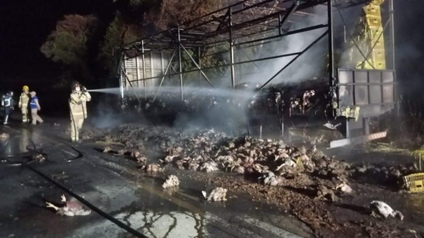 Foto: Colaboração (PP News)