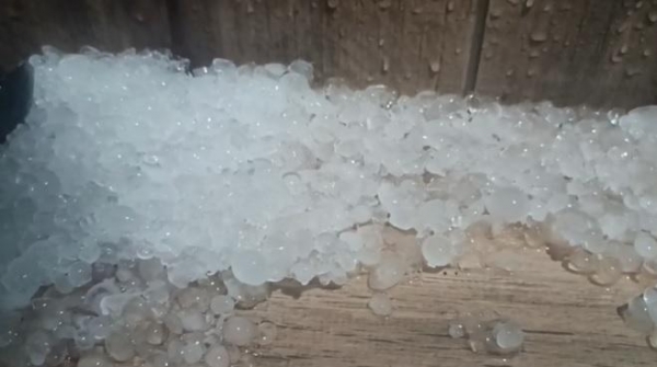 Foto: Léo Silva/Radar Paranaense.