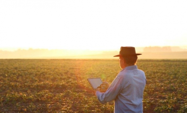 Foto: Ilustração/Incra