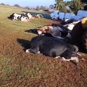 Foto: Rádio Difusora