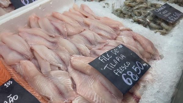 97% das exportações de tilápia paranaense são para os Estados Unidos — Foto: Reprodução/TV TEM