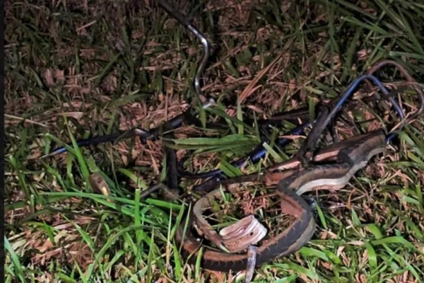 Fotos: Colaboração/OBemdito