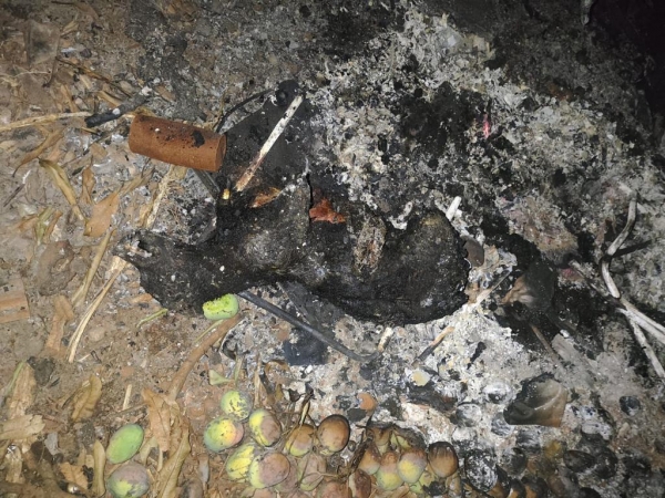 Foto: Divulgação PCPR