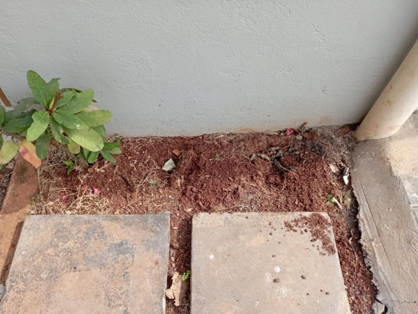 Fotos: Internauta Portal Nova Santa Rosa