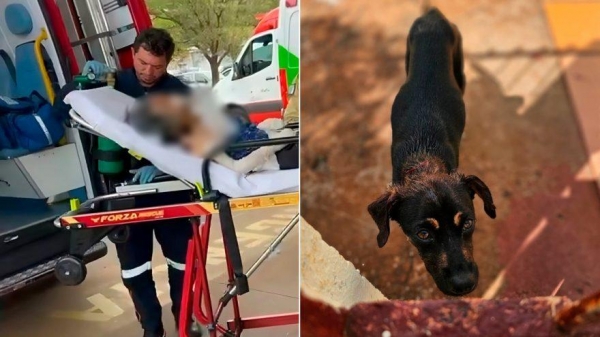 Foto: Plantão Maringá