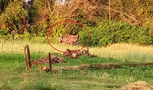 Foto: Internauta Portal Nova Santa Rosa