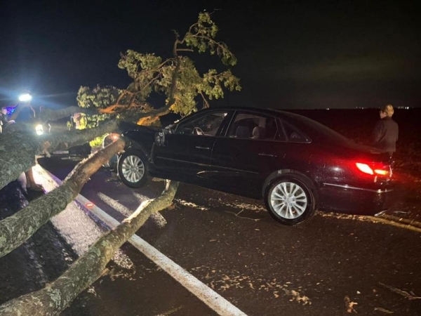 Fotos: Portal Nova Santa Rosa.