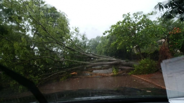 Foto: Internauta Portal Nova Santa Rosa