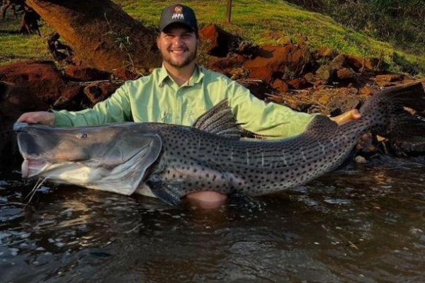 Após o registro, o peixe foi devolvido à água - Foto: Bruno Breda.