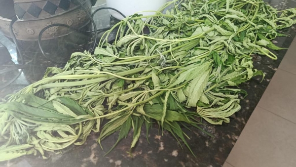 Fotos: Portal Nova Santa Rosa.