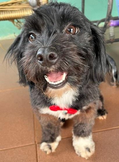 Foto: Arquivo pessoal